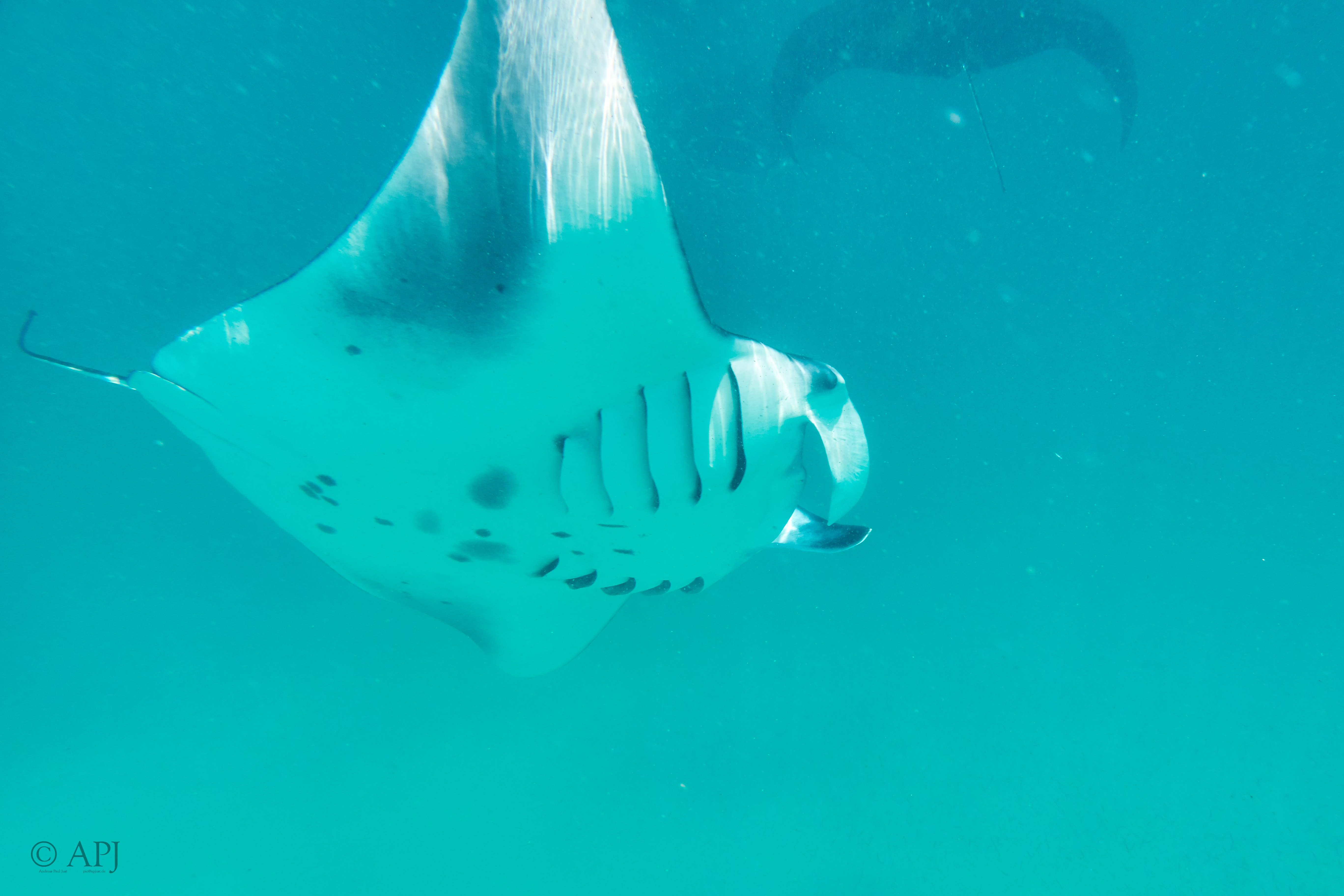 001844 16 08 17  Canon PowerShot G7 X Mark II   Malediven2017